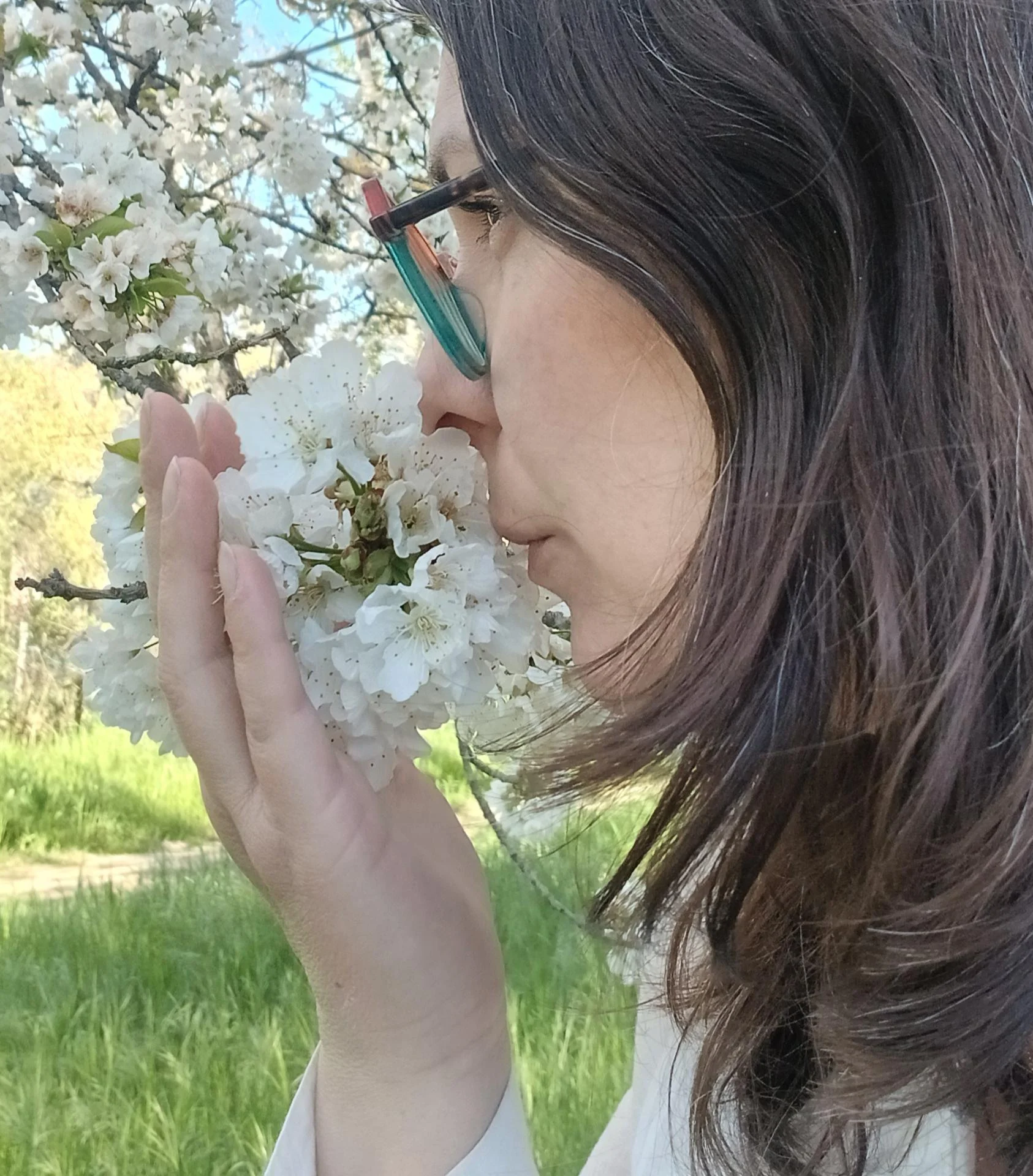 Sandra larcanche respire fleur recadree